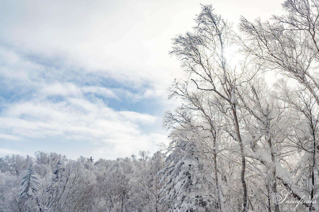 富良野スキー場　気温 -14℃。ダイヤモンドダストが煌めく、国内屈指のリゾートゲレンデを堪能♪